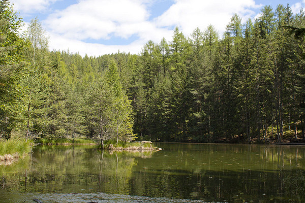 Naturidyll Winklbergsee Längenfeld